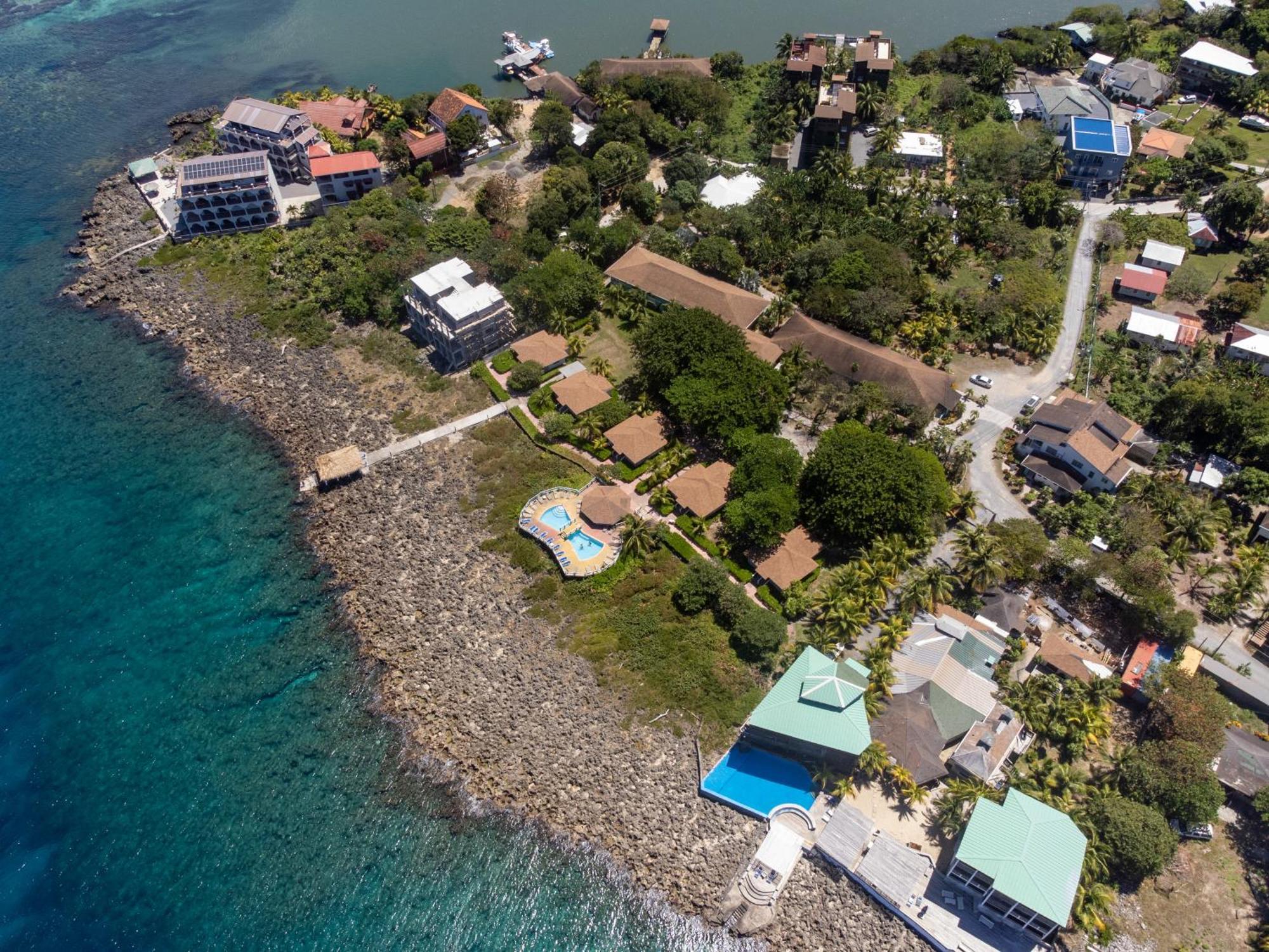 Seagrape Plantation Resort & Dive Center Вест-Енд Екстер'єр фото